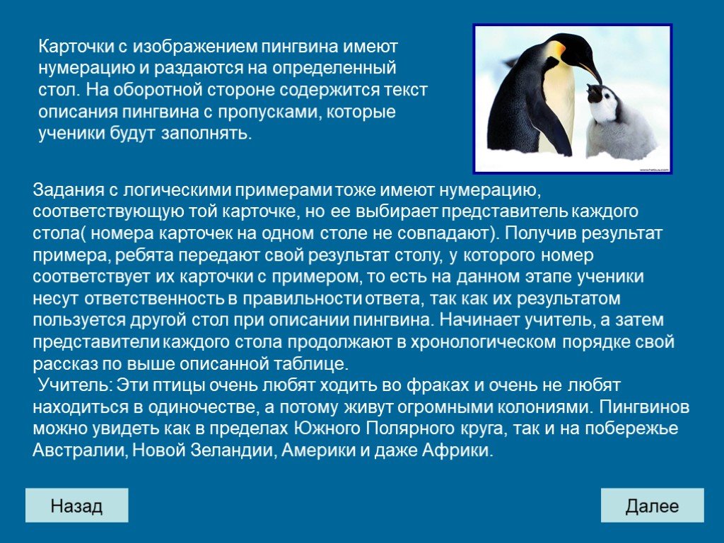 Про пингвина рассказ 1. Описание пингвина. Информация о пингвинах. Рассказ о пингвине. Пингвины презентация.