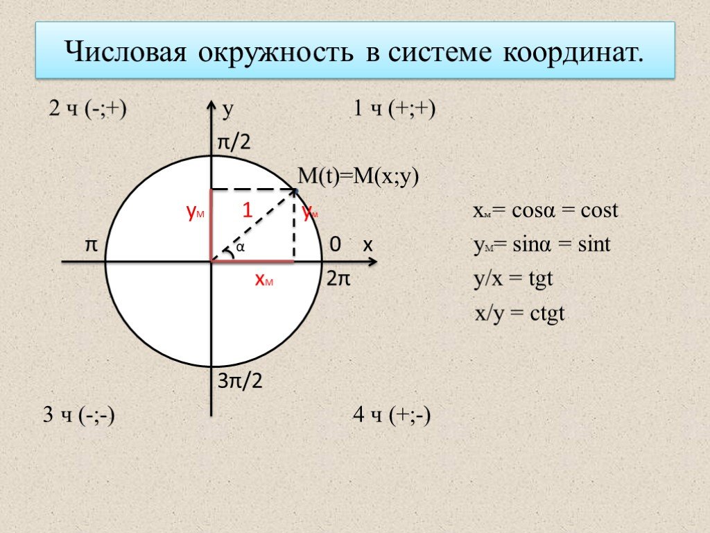 Координаты круга. Числовая окружность с координатами. Окружность в системе координат. Уравнение числовой окружности. Числовая окружность в системе координат.