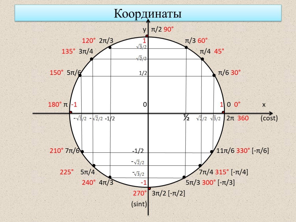 1 точка 3.3. Тригонометрическая окружность 4п. Тригонометрический круг -3π/2. Числовая окружность тригонометрия 3п. Синус 45 тригонометрический круг.