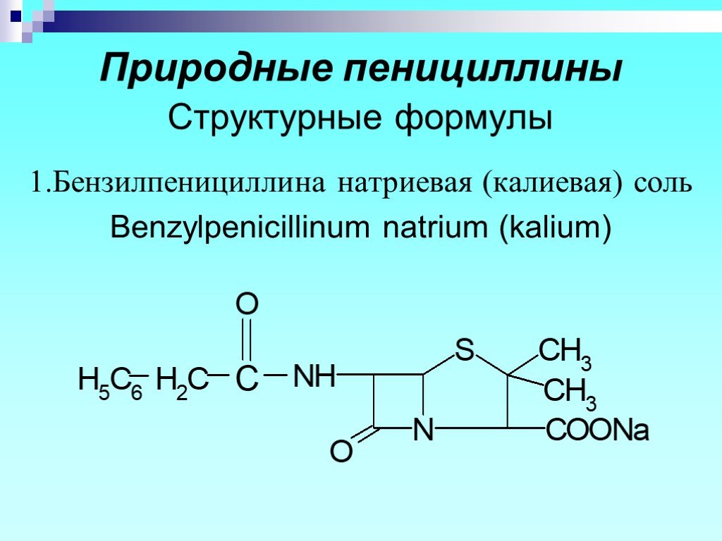 Пенициллин бензилпенициллин