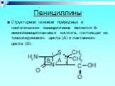 Пенициллины. Структурной основой природных и синтетических пенициллинов является 6-аминопенициллановая кислота, состоящая из тиазолидинового цикла (А) и лактамного цикла (В):
