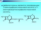 Цефалоспорины являются производными 7-аминоцефалоспорановой кислоты и 7-аминодезацетоксицефалоспорановой кислоты.