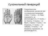 Схематическое изображение разрезов при сухожильном панариции слева: II палец — по Биру (применять не рекомендуется), III палец — по Клаппу, IV палец— по Верту; справа: II палец — по Фишману, III палец — по Зайцеву, IV палец — по Канавелу (применять не рекомендуется).