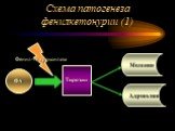 Схема патогенеза фенилкетонурии (1). ФА Тирозин Меланин Адреналин. Фенил-гидроксилаза