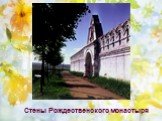 Стены Рождественского монастыря