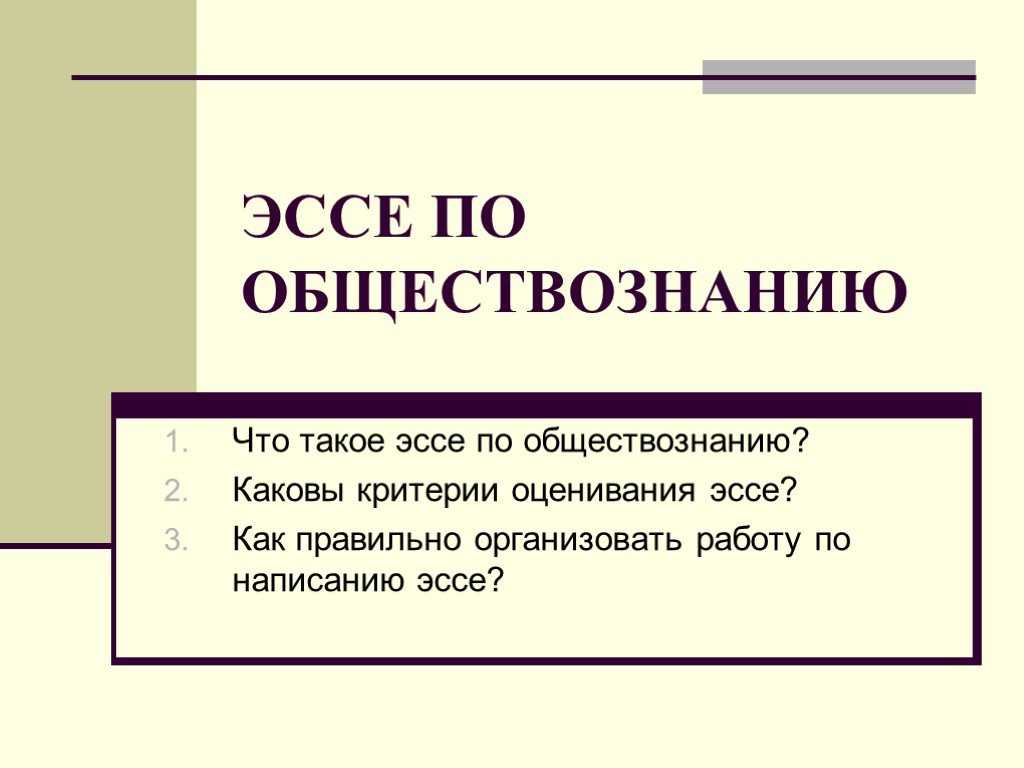 Эссе что такое проект