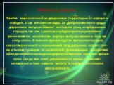 Обязанности дворника: Очистка закрепленной за дворником территории от мусора и отходов, а так же снега и льда. От добросовестного труда дворников всецело зависит состояние улиц современных городов, так как с ростом городов пропорционально увеличивается количество мусора выбрасываемого под час «под н