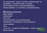 По назначению мягкие повязки подразделяют на защитные, лекарственные, давящие (гемостатические), иммобилизирующие (транспортные и лечебные) и корригирующие. Бинтовые повязки: циркулярная; спиральная; ползучая; крестообразная (восьмиобразная); черепичная (сходящаяся, расходящаяся); колосовидная; Дезо