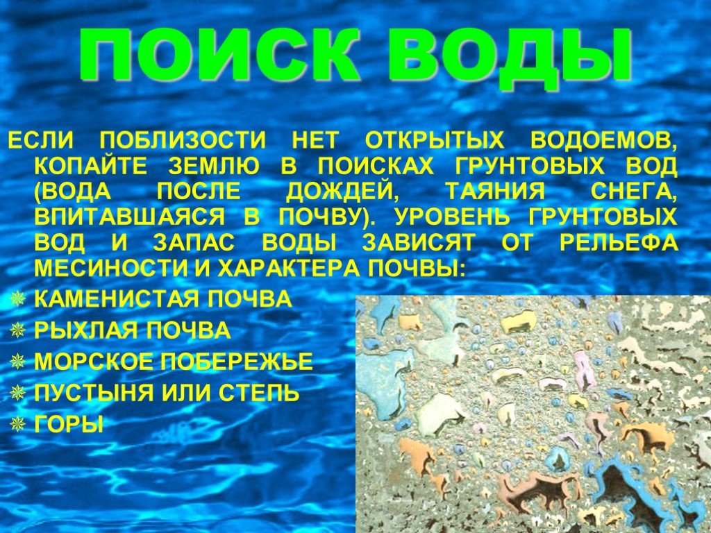 Найди вода 4. Поиск воды. Благодаря чему на земле удерживается вода. Если нет деревьев то вода впитывается в землю ,или омывает.