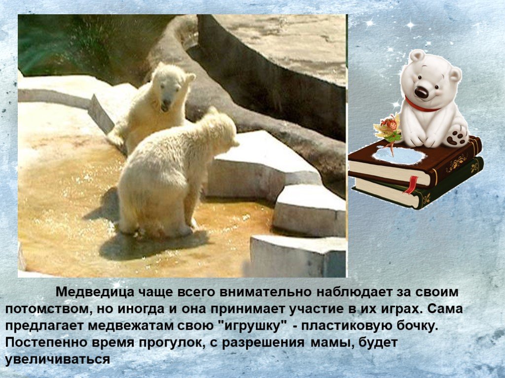 Тщательно наблюдал. Рассказ о белом медведе. Белый медведь 3 класс. Доклад про белого медведя. Презентация белый медведь 3 класс.