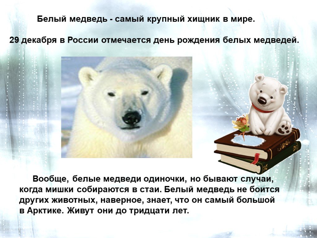 Поздравления с днем белым медведем