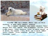 В декабре 2009 года в зоопарке Москвы сразу две белые медведицы во время спячки принесли потомство. "Как и в природе, медведица сама вывела медвежат. Первые прогулки были очень короткие, мама не разрешала малышам далеко от себя отходить. Сейчас медвежата гуляют "на свежем воздухе" уже