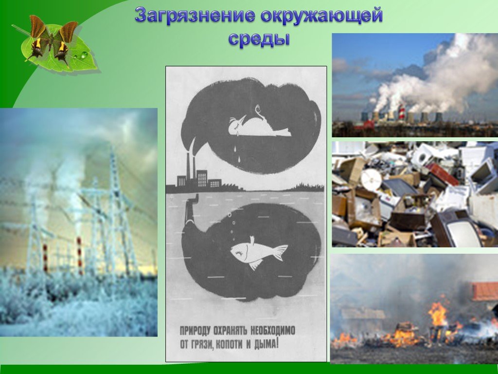 Буклет на тему экология. Загрязнение окружающей среды. Защита экологии и окружающей среды. Буклет загрязнение окружающей среды. Защита окружающей среды от загрязнения.