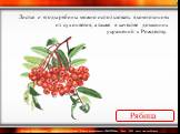 Рябина. Листья и ягоды рябины можно использовать в композициях из сухоцветов, а также в качестве домашних украшений к Рождеству.