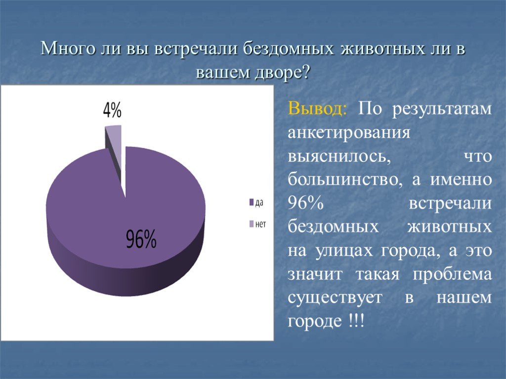 Анкетирование по проекту бездомные животные