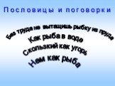 Без труда не вытащишь рыбку из пруда. Как рыба в воде. Скользкий как угорь. Нем как рыба. Пословицы и поговорки