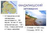 КАНДАЛАКШСКИЙ заповедник. В Кандалакшском заповеднике насчитывается 160 видов, из них 21 вид млекопитающих, 134 – птиц, 2 вида рептилий и 3 вида амфибий. Основан в 1939 году. Площадь 58100 га.