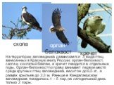 На территории заповедника размножается 3 вида птиц, занесенных в Красную книгу России: орлан-белохвост, скопа и хохлатый баклан, а кречет гнездится в отдельные годы. Орлан-бнлохвост по праву занимает первое место среди крупных птиц заповедника, весит он до 6,5 кг, а размах крыльев до 2,3 м. Раньше в