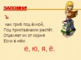 Запомни! ъ как гриб под ёлкой, Под приставками растёт. Отделяет их от корня Если в нём е, ю, я, ё.