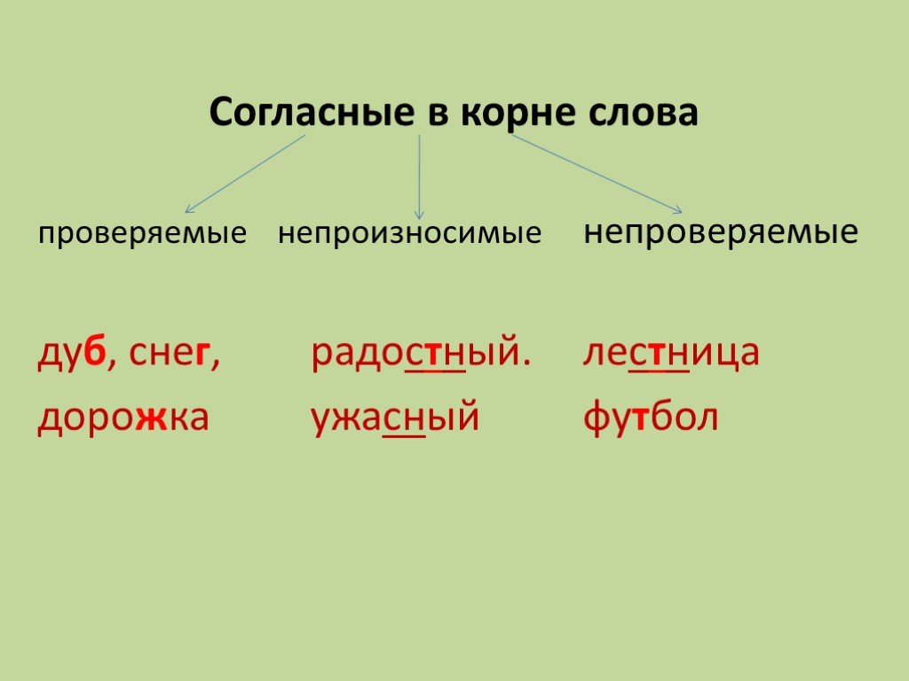 Правописание проверяемых непроверяемых