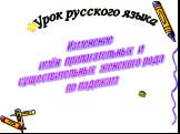 Урок русского языка. Изменение имён прилагательных и существительных женского рода по падежам