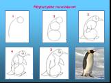 Нарисуем пингвина