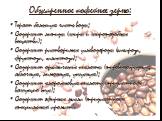 Обжаренное кофейное зерно: Теряет большую часть воды; Содержит липиды (жиры и жироподобные вещества); Содержит растворимые углеводороды (сахароза, фруктоза, галактоза); Содержит органические кислоты (пировиноградную, яблочную, лимонную, уксусную); Содержит хлорогеновую кислоту (придает кофе вяжущий 