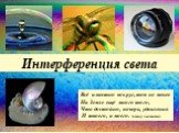 Интерференция света. Всё известно вокруг, тем не менее На Земле ещё много того, Что достойно, поверь, удивления И твоего, и моего. (автор неизвестен)