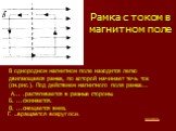 Рамка с током в магнитном поле. В однородном магнитном поле находится легко двигающаяся рамка, по которой начинает течь ток (см.рис.). Под действием магнитного поля рамка... А... .растягивается в разные стороны. Б. ...сжимается. В. ...смещается вниз. Г. ...вращается вокруг оси. модель