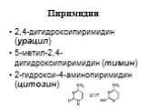 2,4-дигидроксипиримидин (урацил) 5-метил-2,4-дигидроксипиримидин (тимин) 2-гидрокси-4-аминопиримидин (цитозин)