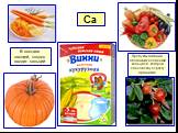 В составе овощей, плодов входит кальций. Продукты питания обогащают элементом кальцием, которой способствует росту организма