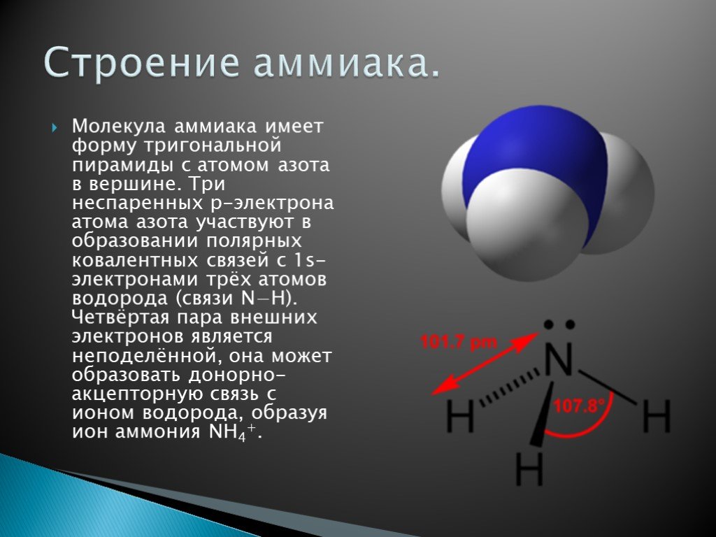 Молекула азота состоит. Особенности строения молекулы аммиака. Строение молекулы аммиака. Молекулярная структура аммиака. Молекула аммиака имеет строение.