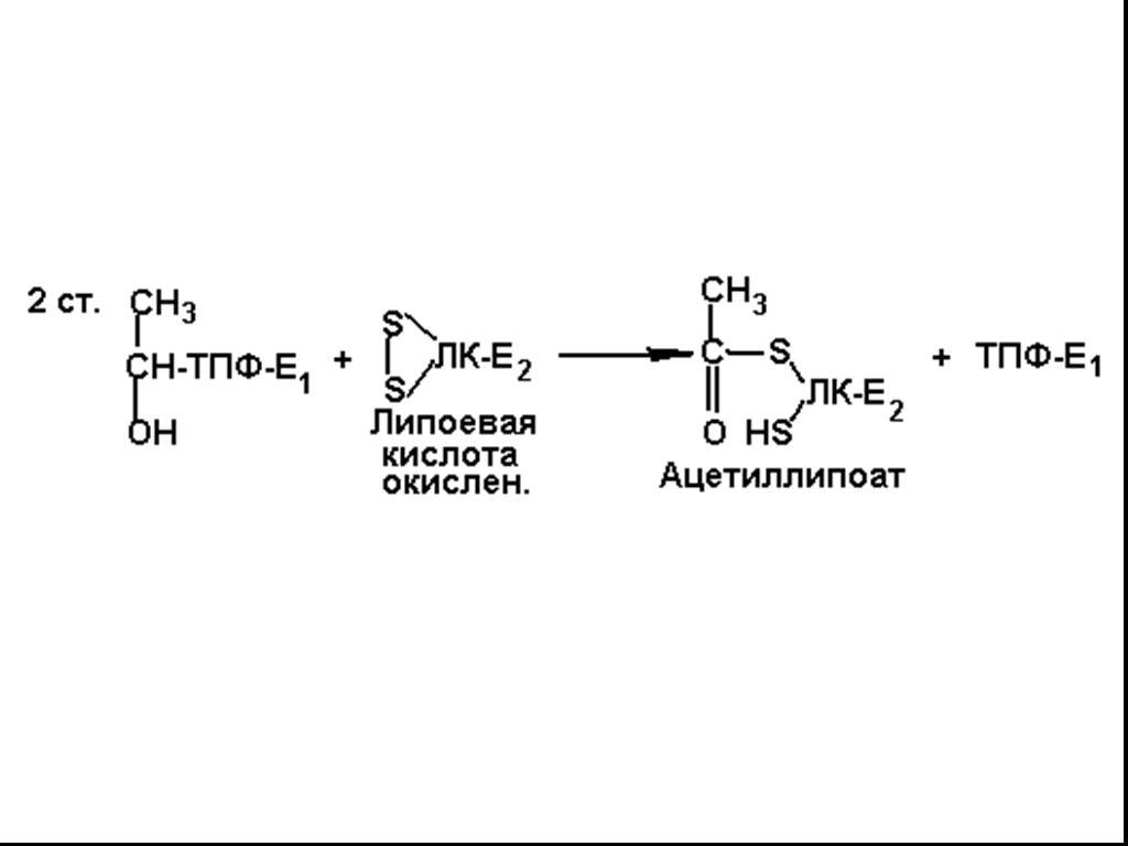 Ферменты анаэробного гликолиза. Ацетиллипоат. Структура липоевой кислоты. Анаэробный распад углеводов.