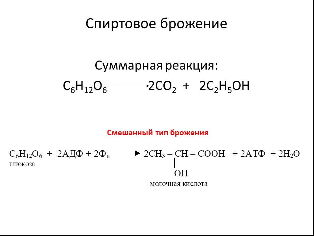 Презентация брожение спиртовое брожение