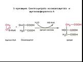 1-я реакция: Синтез цитрата из оксалоацетата и ацетилкофермента А
