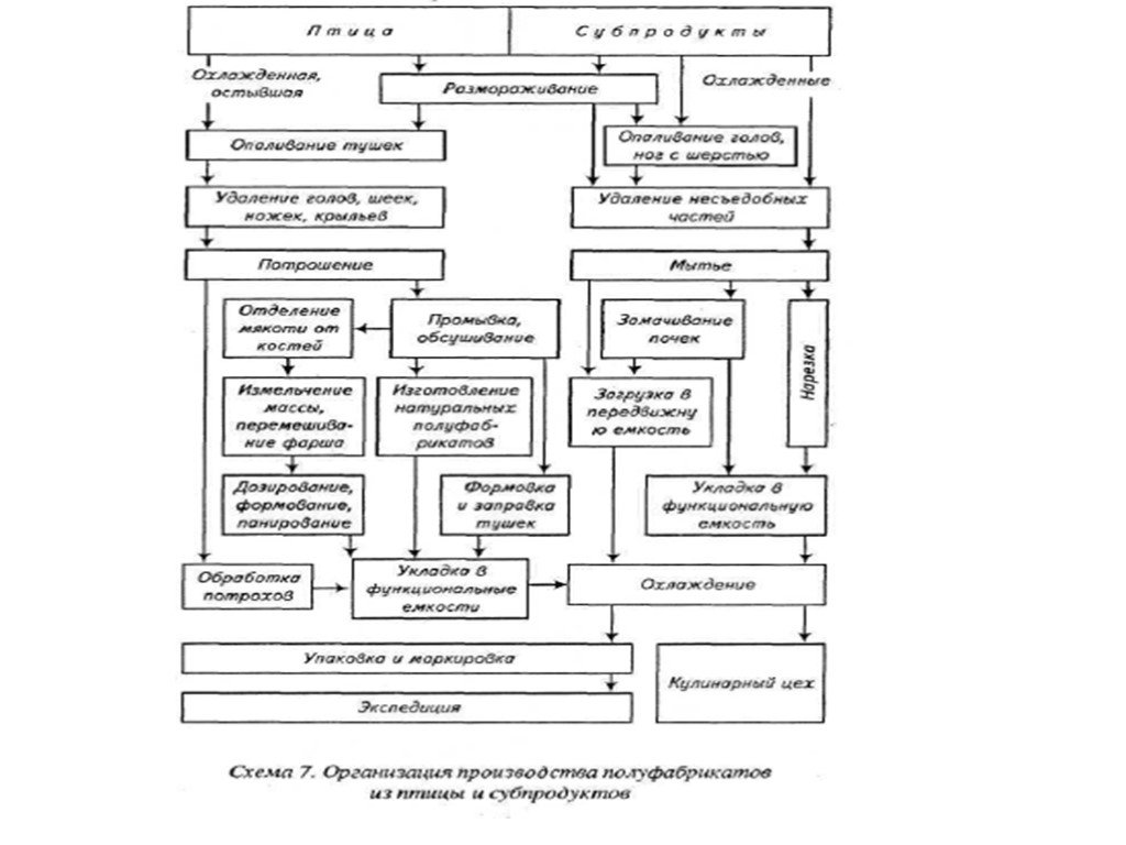 Составьте схему организации производства полуфабрикатов из птицы и субпродуктов