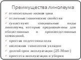 Преимущества линолеума. относительно низкая цена отличные технические свойства существуют специальные виды линолеума, которые предназначены для общественных и производственных помещений. простая подготовка пола несложная технология укладки долгий срок эксплуатации (25-30лет) простота эксплуатации и 