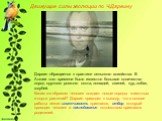 Дарвин обращается к практике сельского хозяйства. В Англии того времени было известно большое количество пород крупного рогатого скота, лошадей, свиней, кур, собак, голубей. Каким же образом человек создает новые породы животных и сорта растений? Дарвин приходит к выводу, что в основе работы лежит и