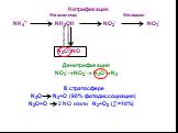 Нитрификация Nitrosomonas Nitrobacter NH4+ NH2OH NO2- NO3-. Химическое разложение. N2O, NO. Денитрификация NO3-NO2- N2ON2. В стратосфере N2O N2+О (90% фотодиссоциация) N2O+O 2 NO и/или N2+О2 (∑=10%)