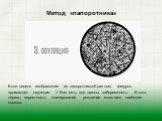 Если видите изображение из папоротникообразных фигурок, происходит овуляция. У Вас есть все шансы забеременеть. В этот период вероятность планирования рождение мальчика наиболее высока.