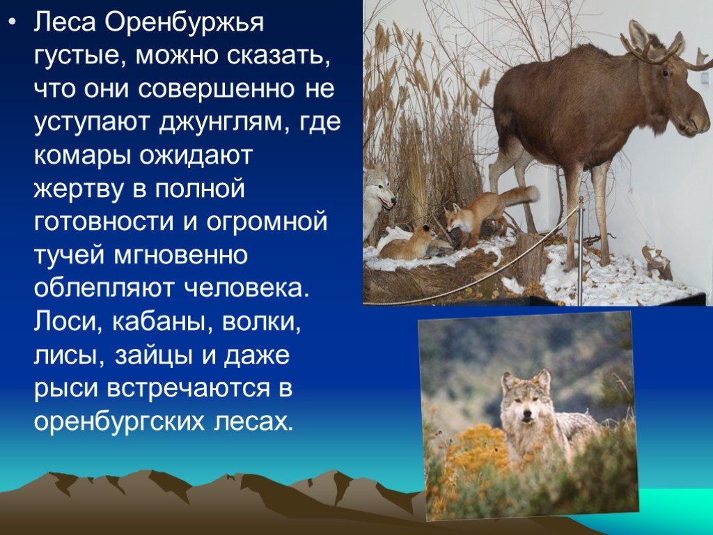 Разнообразие природы оренбургской области 3 класс окружающий мир проект