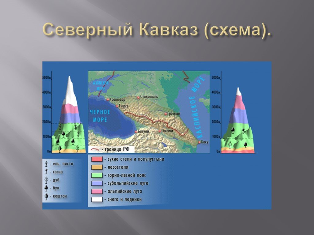 Природные зоны кавказа и урала