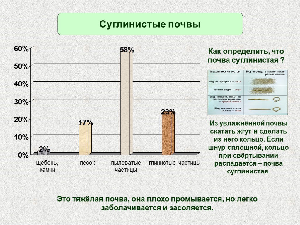 Состав суглинистой почвы схема