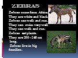 zebras Zebras come from Africa. They are white and black. Zebras can walk and run. They can swim very well. They can walk and run. Zebras eat plants. They are 200 – 240 cm long. Zebras live in big families.