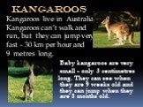 kangaroos Kangaroos live in Australia. Kangaroos can’t walk and run, but they can jump very fast – 30 km per hour and 9 metres long. Baby kangaroos are very small – only 3 centimetres long. They can see when they are 9 weeks old and they can jump when they are 8 months old.