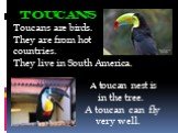 Toucans Toucans are birds. They are from hot countries. They live in South America. A toucan nest is in the tree. A toucan can fly very well.