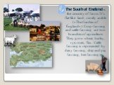 The South of England is the country of farms. It’s flat-like land, mostly arable («The Garden of England»). Crop-farming and cattle-farming are two branches of agriculture. They grow wheat, barley, rye, roats, flax. Cattle farming is represented by dairy farming, ship and pig farming, bee farming et