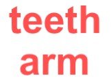 teeth arm