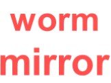 worm mirror