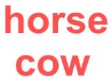 horse cow